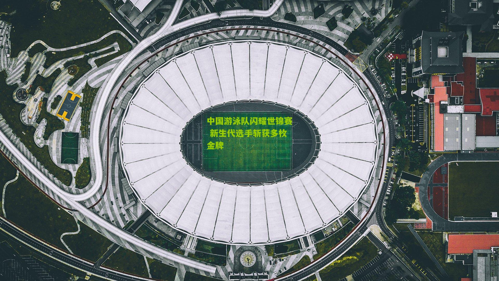 中国游泳队闪耀世锦赛 新生代选手斩获多枚金牌